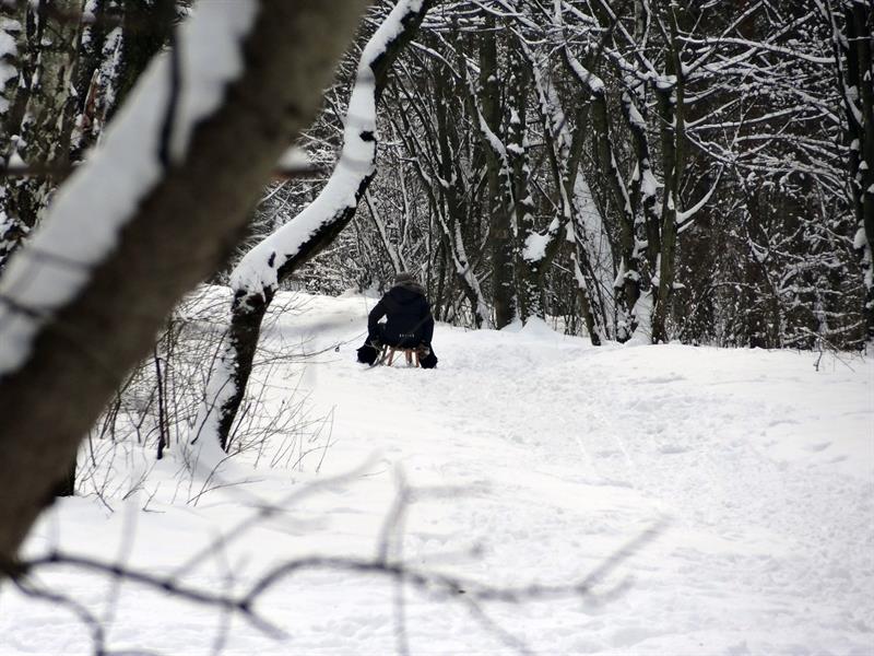 A hó képes betemetni, elfedni minden rosszat