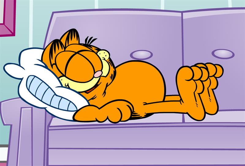 „Jobban szeretném a reggeleket, ha később kezdődnének” (Garfield)