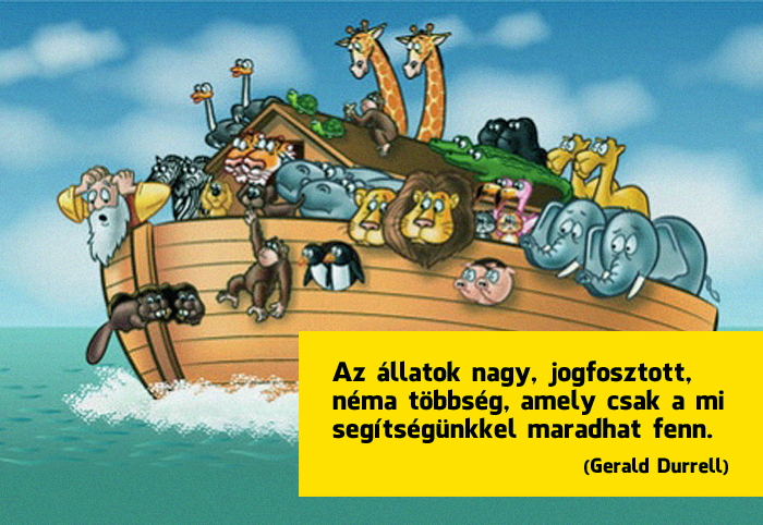 Legyünk az állatok ügyvédei! 