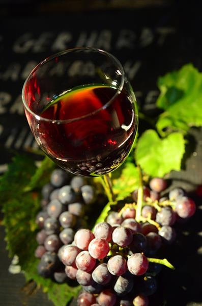 Musttól édes a szeptember – Itt a szüret, irány a szőlő!