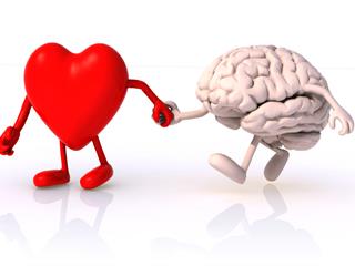 A szív szerelmes vagy az agy? 