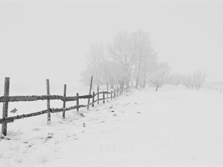 Az este verse - Ady Endre: A téli Magyarország