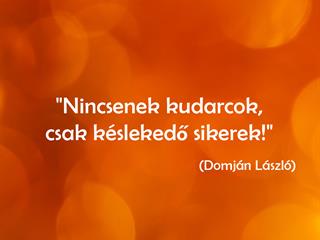 Domján László és a siker