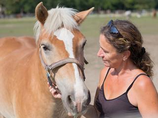 Gyógyító lovak - négylábú segítség a testi-lelki rehabilitációban