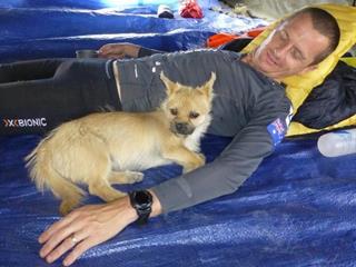Napi szívmelanzs: Góbi, a hajléktalan kutya, aki 127 km-t futott egy gazdiért! (Felidéző)
